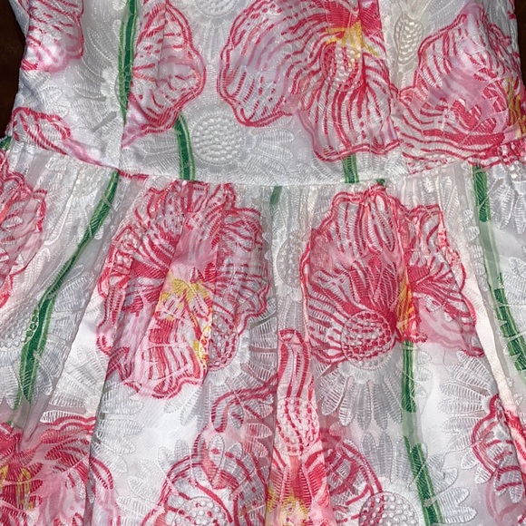 Lilly Pulitzer Dress - Picture 3 of 5